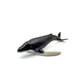 Minke Whale and Humpback Whale