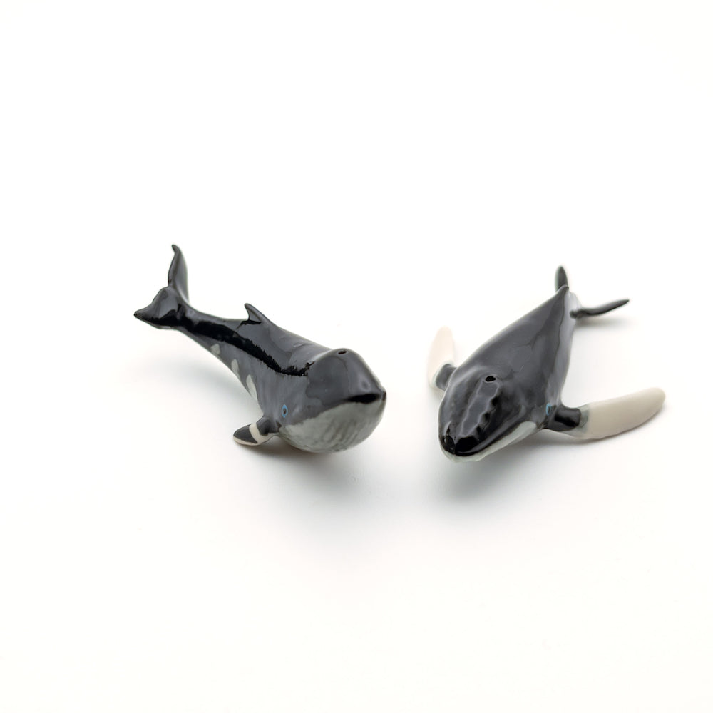 Minke Whale and Humpback Whale