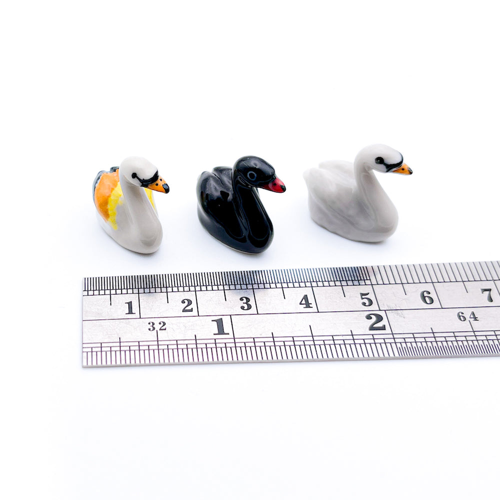 Tiny Swan Birds