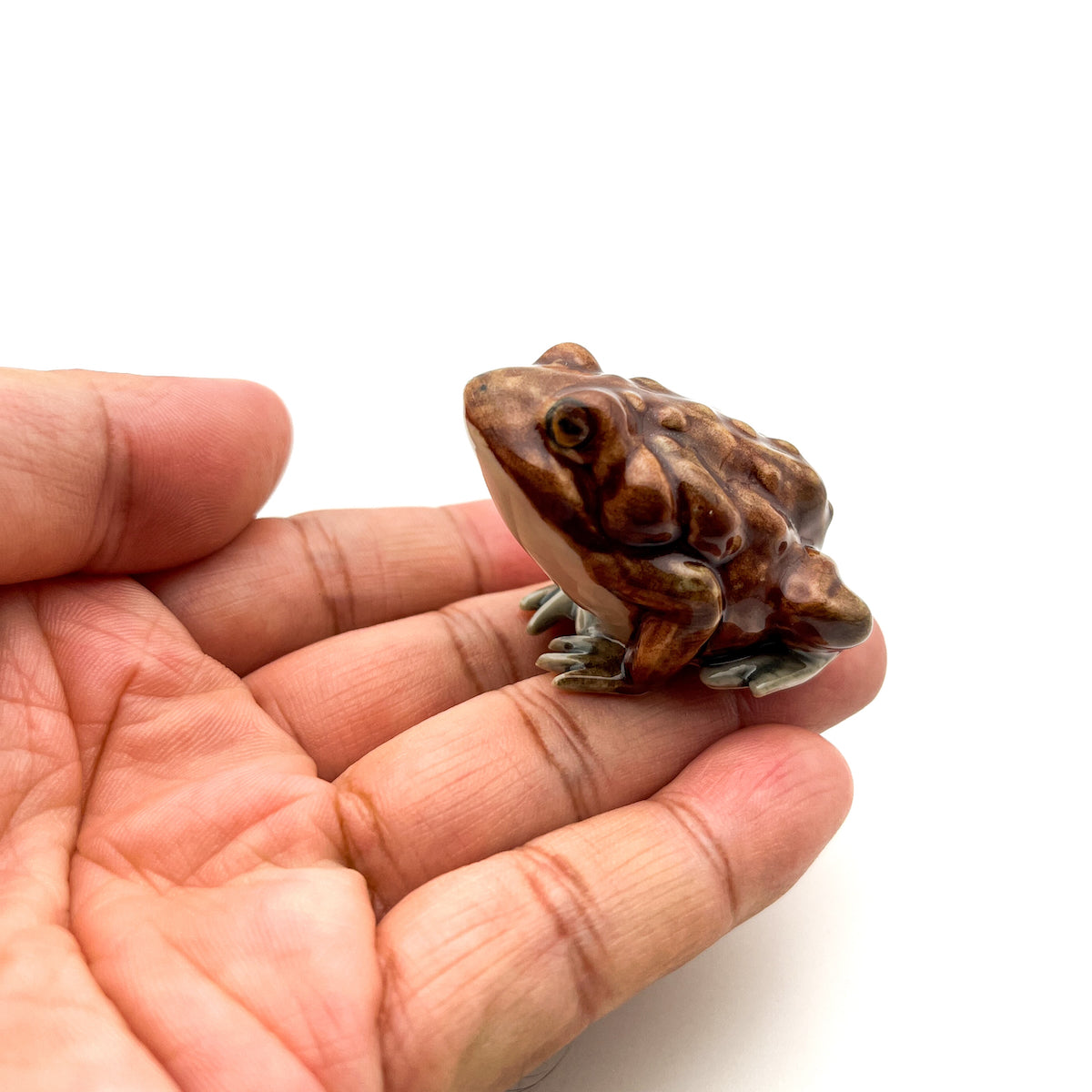 Toad