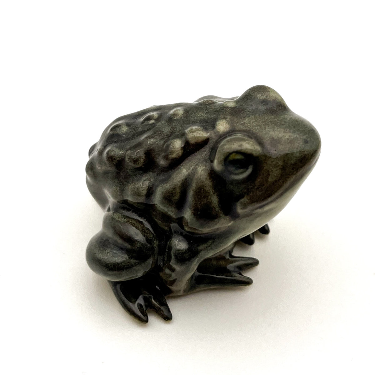 Toad