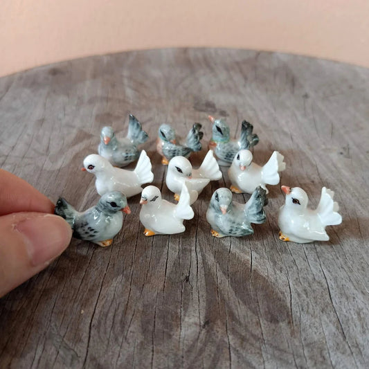 5 Tiny Pigeons