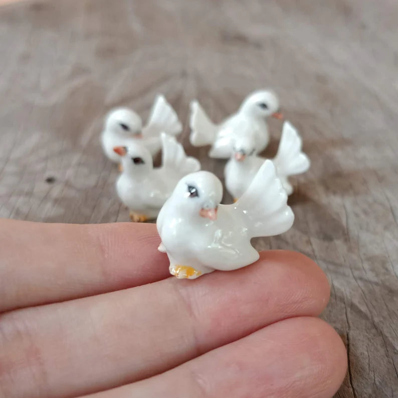 Tiny Pigeon Set
