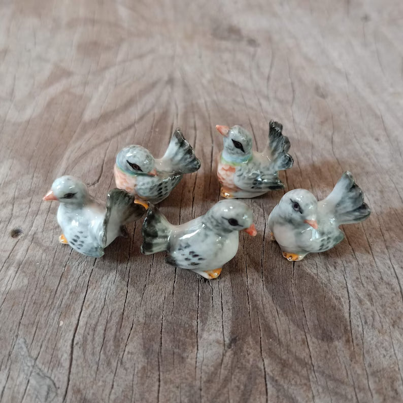 Tiny Pigeon Set