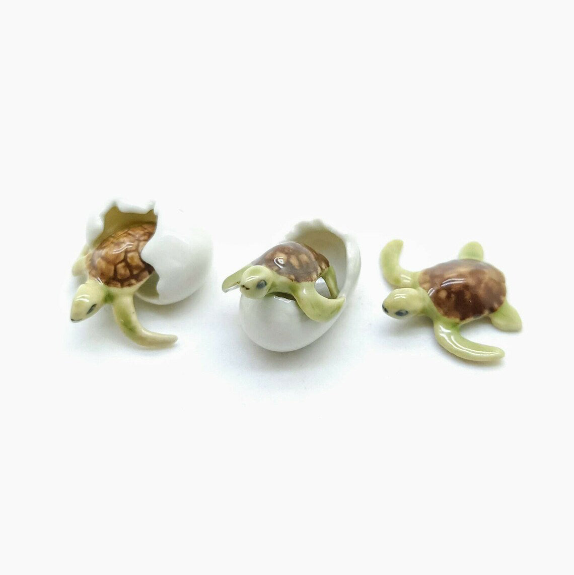 3 Tiny Sea Baby Turtles emerging from eggs