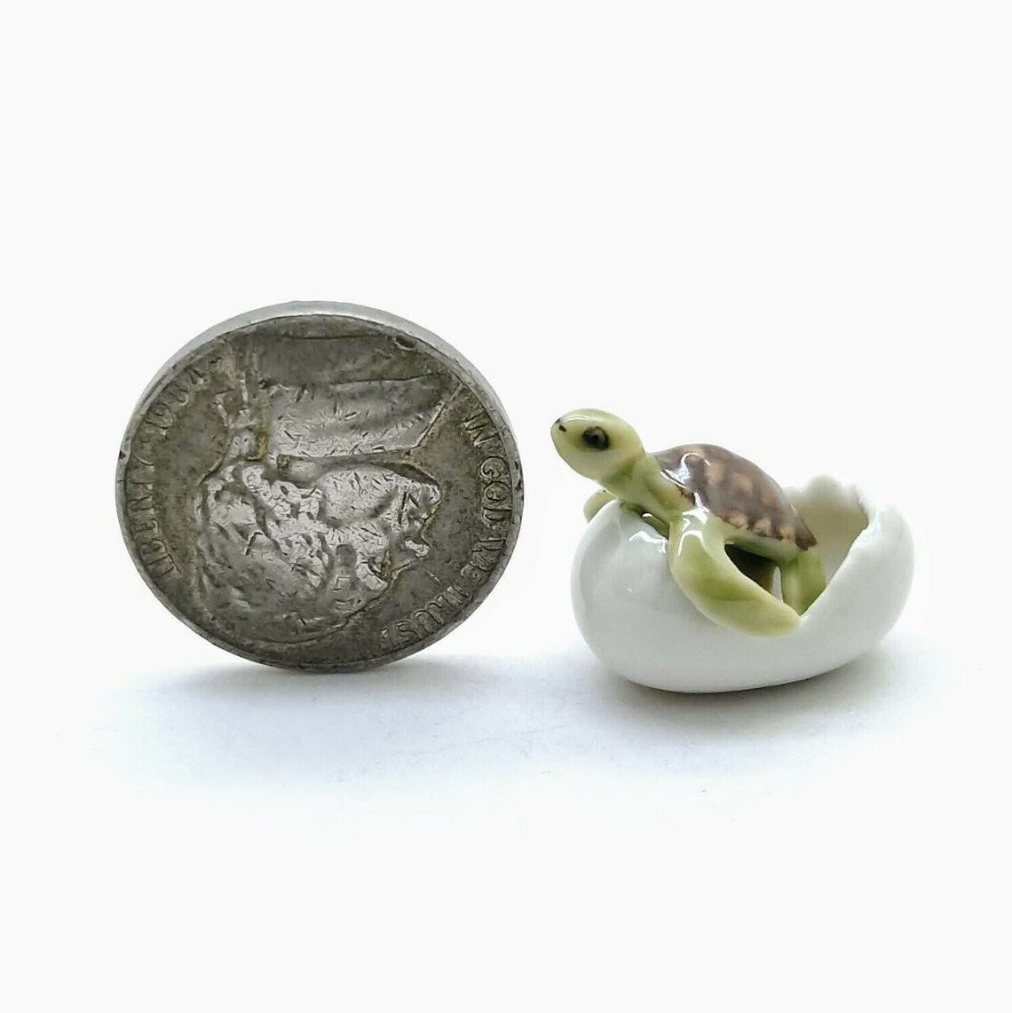 3 Tiny Sea Baby Turtles emerging from eggs