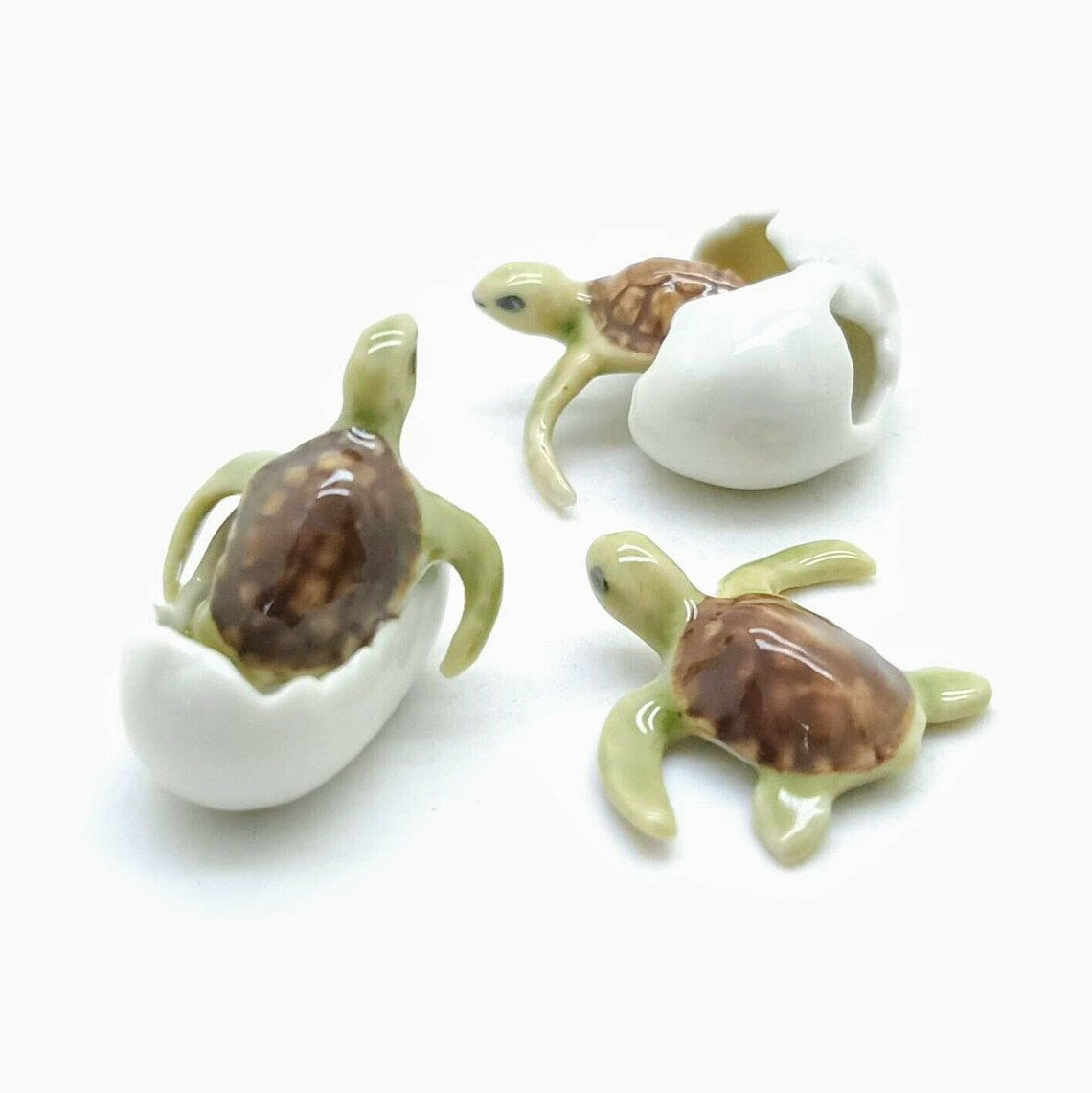 3 Tiny Sea Baby Turtles emerging from eggs