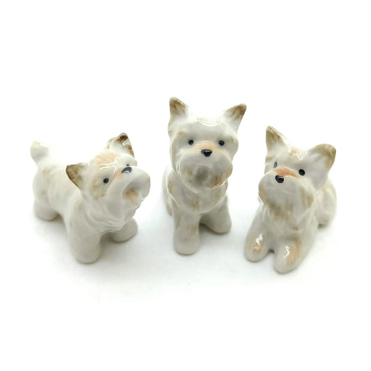 3 West Highland Terrier Dogs
