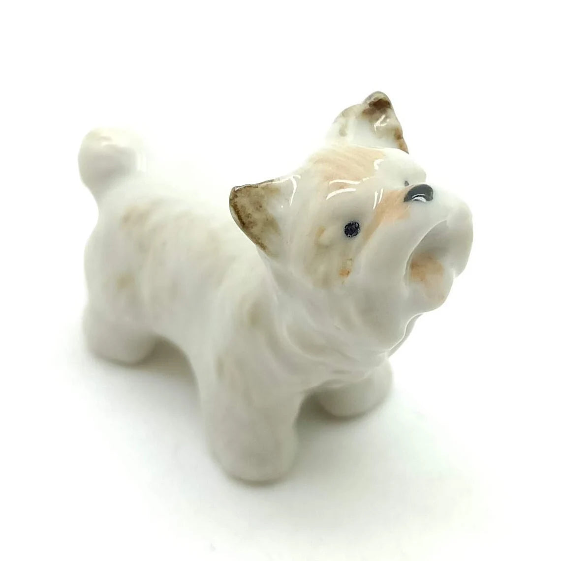3 West Highland Terrier Dogs