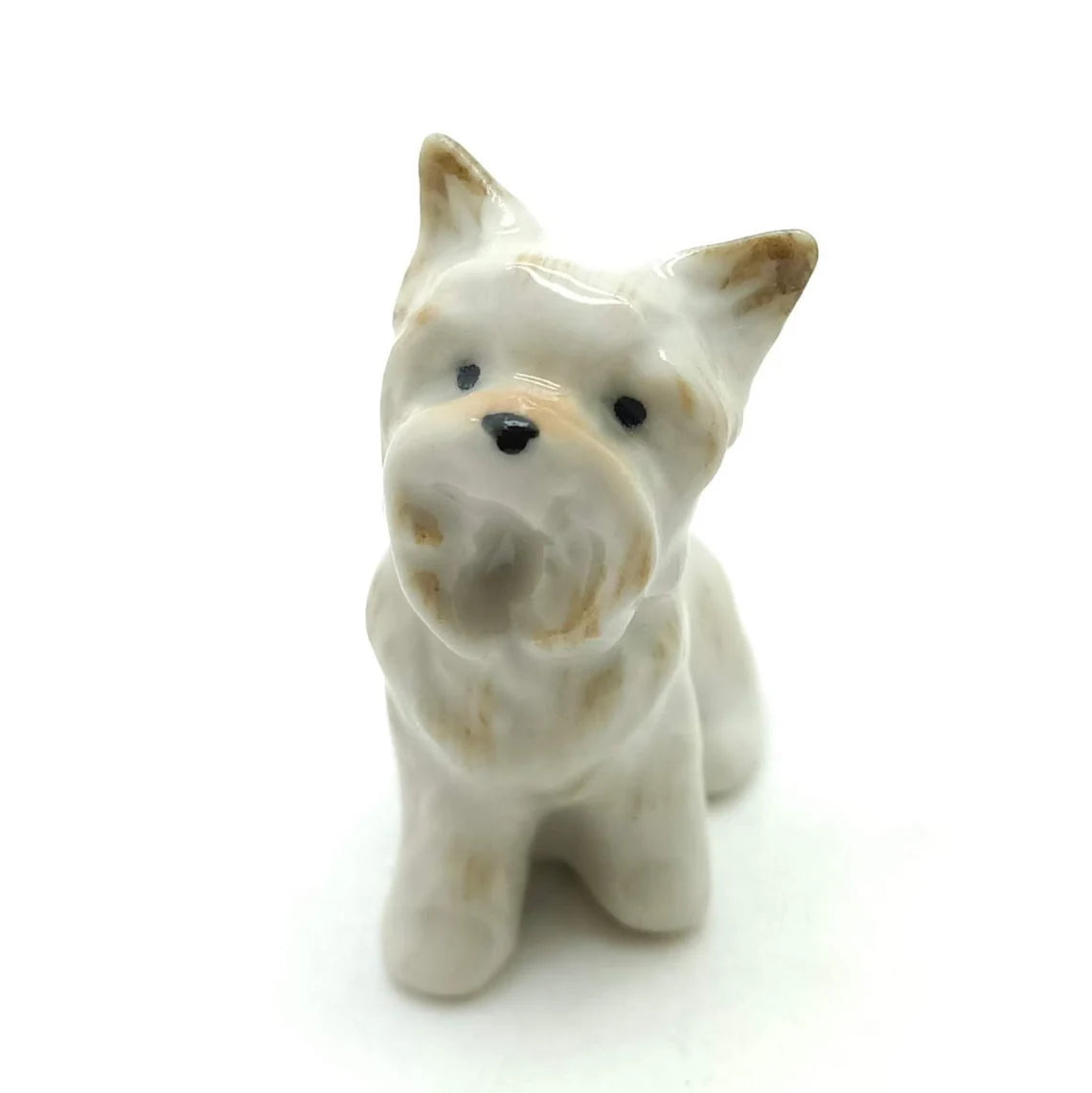 3 West Highland Terrier Dogs