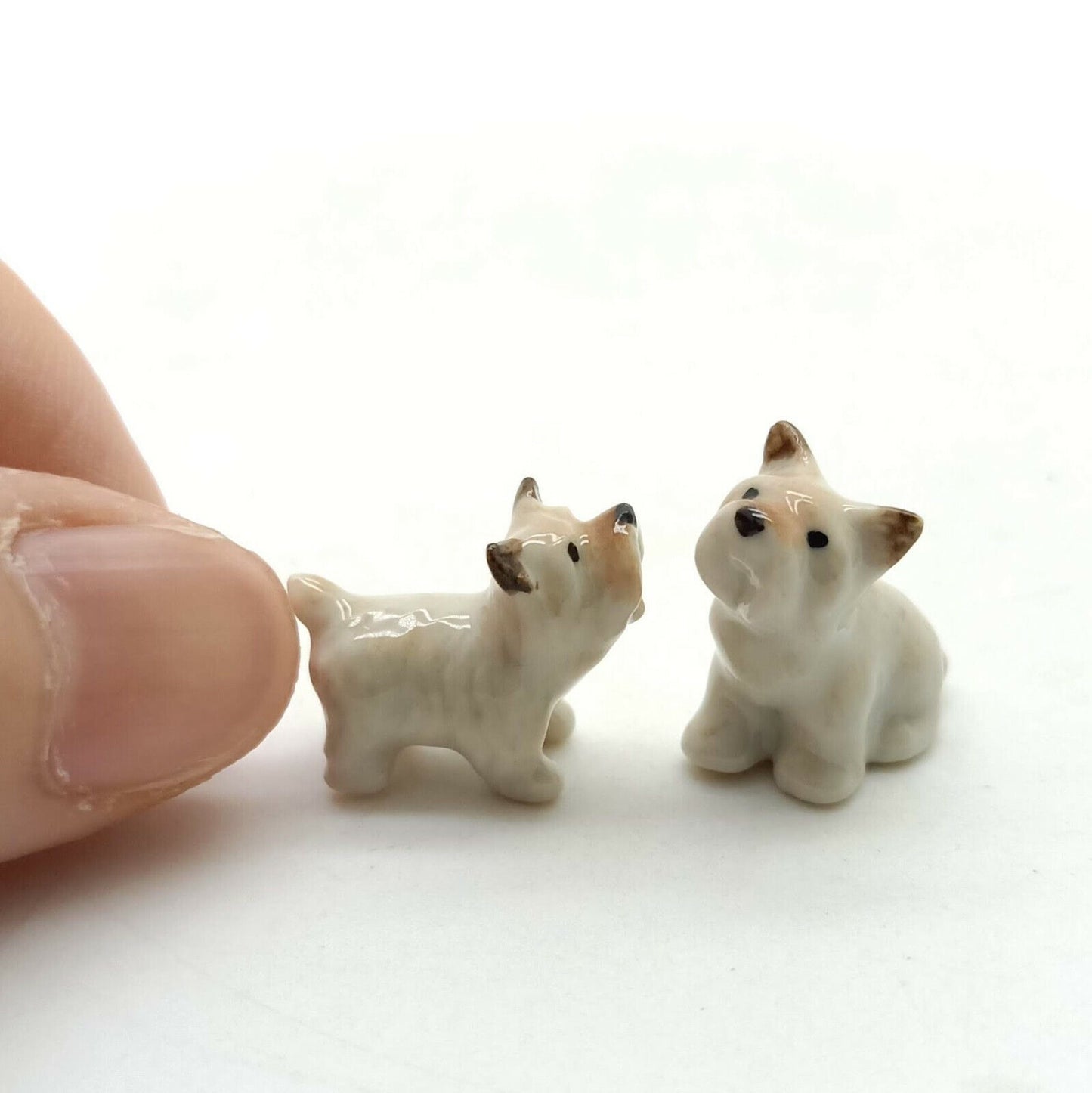 2 Tiny West Highland Terrier