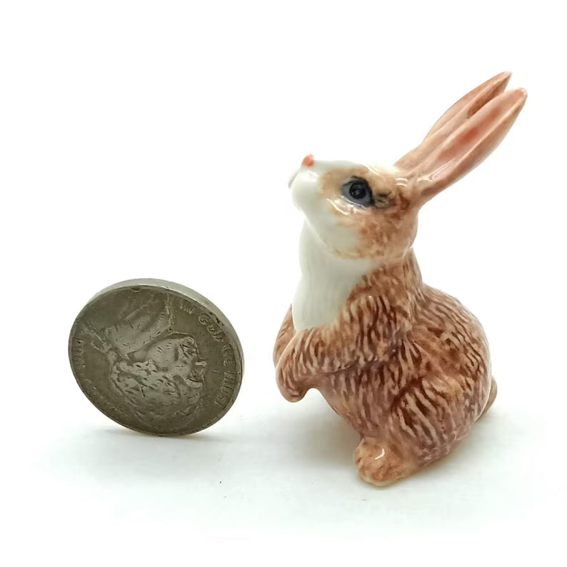4 Rabbits