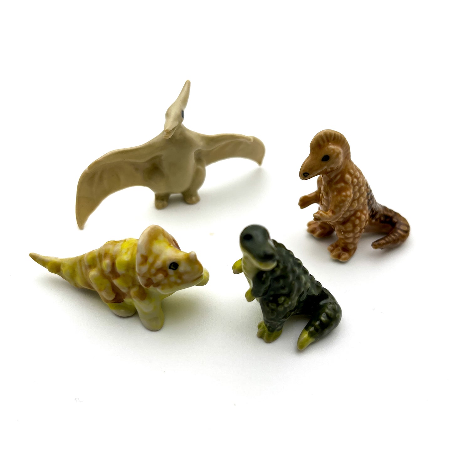 Tiny Dinosaurs