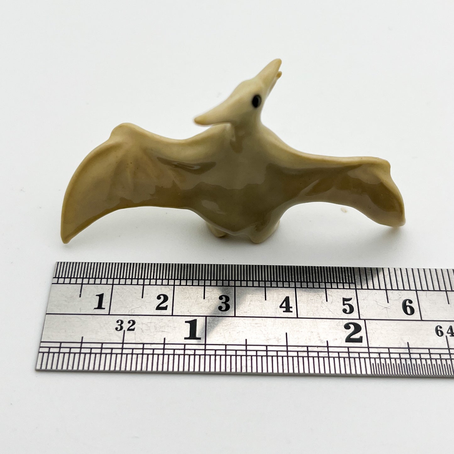 Tiny Dinosaurs