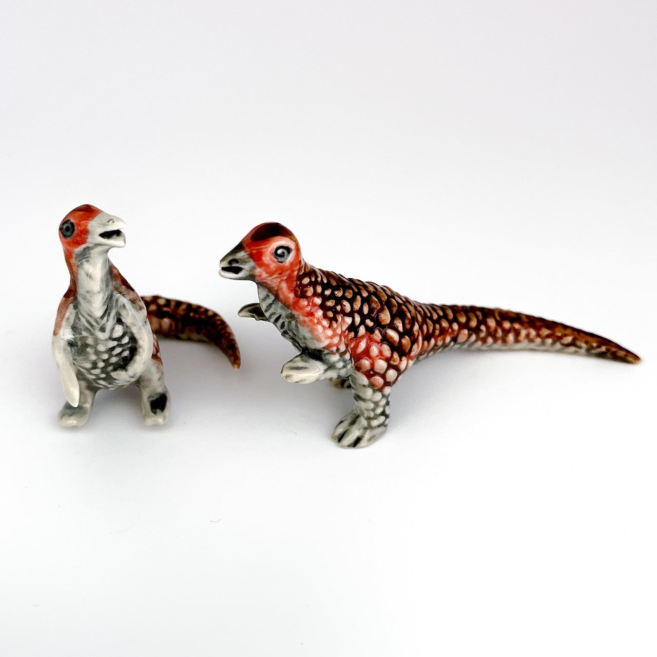 2 Psittacosaurus Dinosaurs