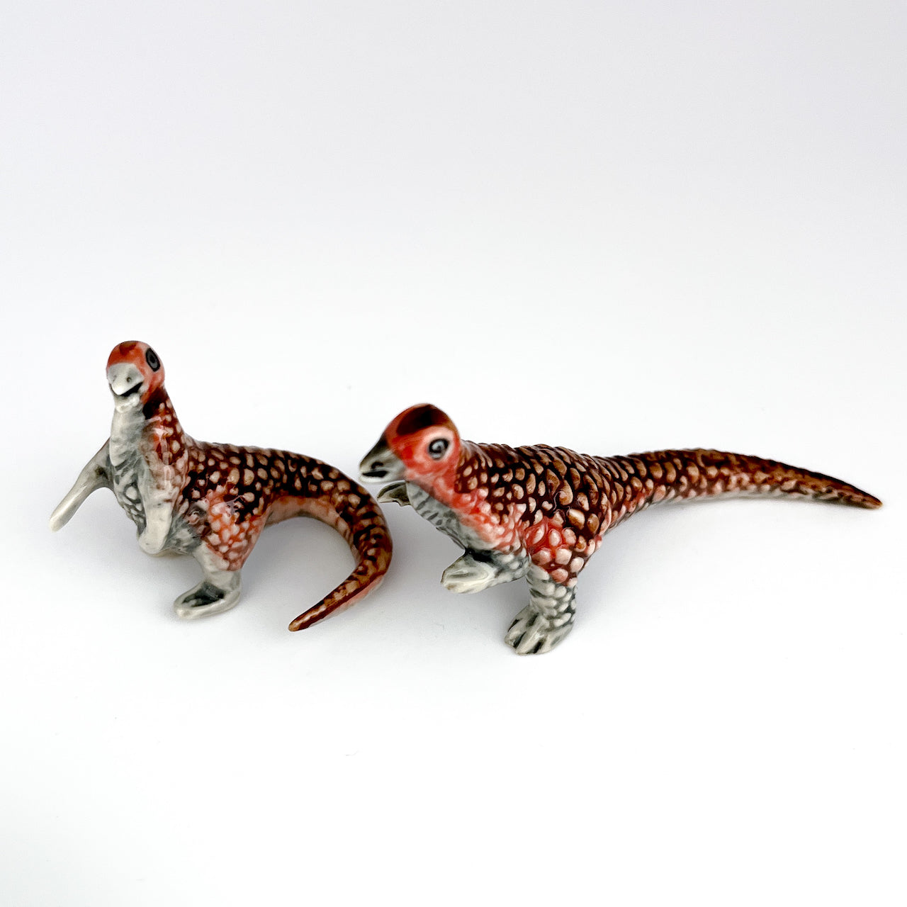 2 Psittacosaurus Dinosaurs