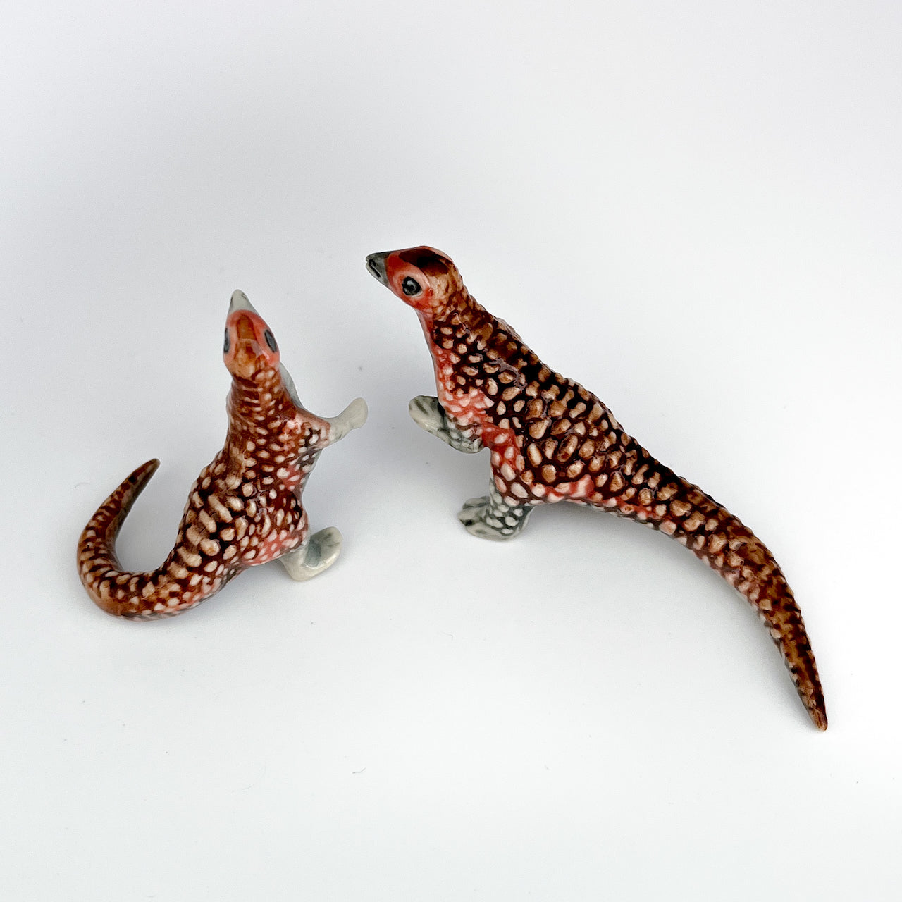 2 Psittacosaurus Dinosaurs