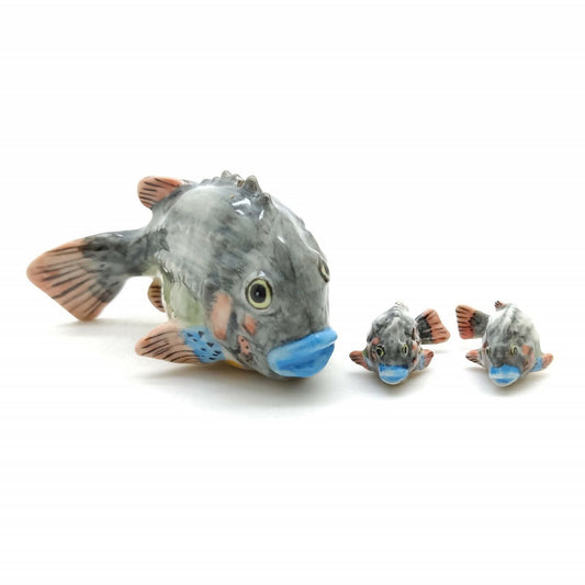 Captivating Lumpfish Family: The Perfect Miniature Decor