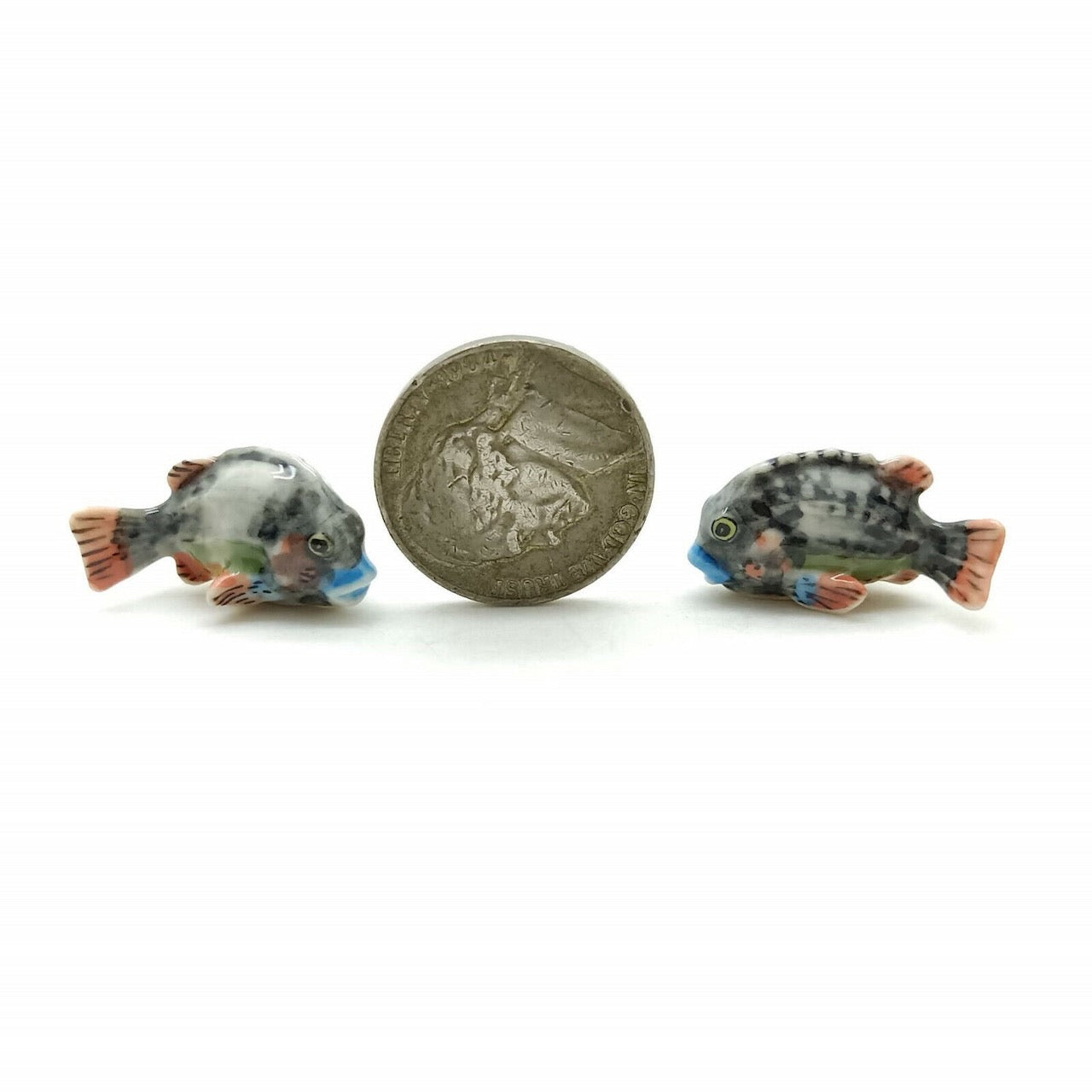 Captivating Lumpfish Family: The Perfect Miniature Decor