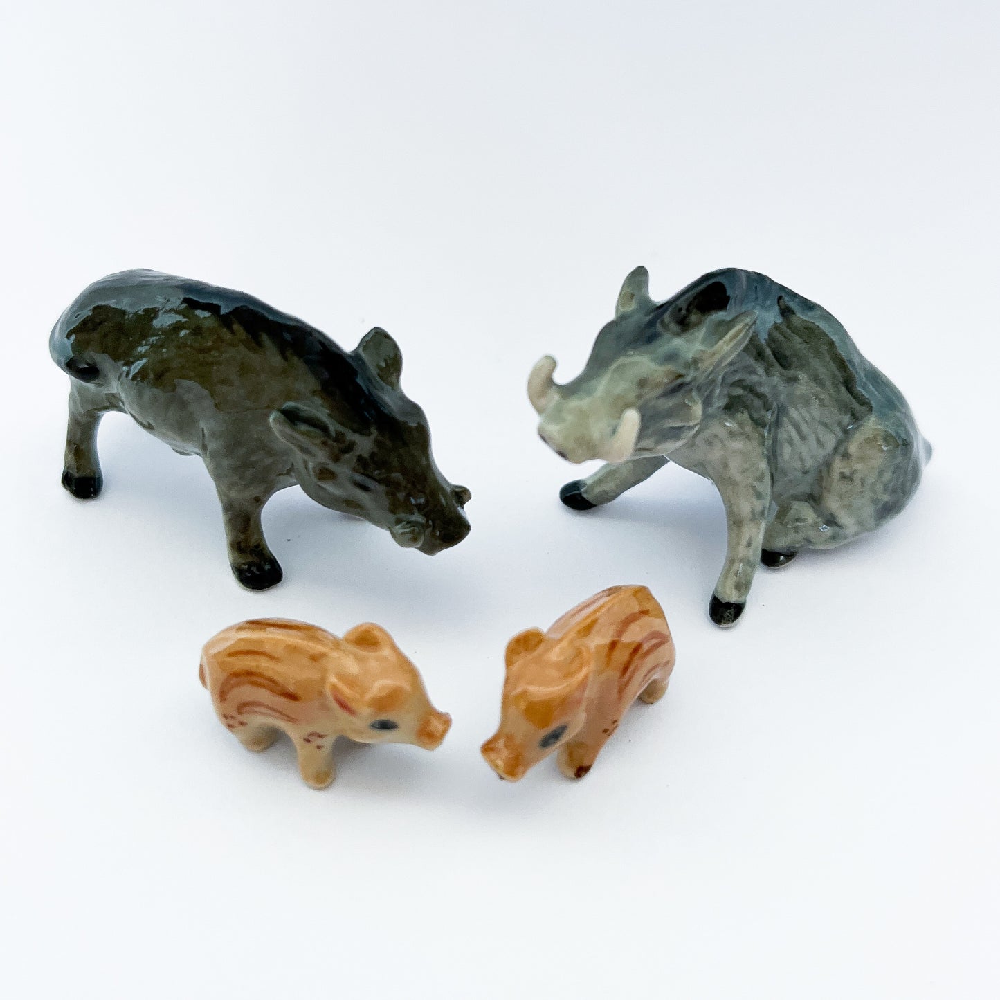 4 Wild Boars Family
