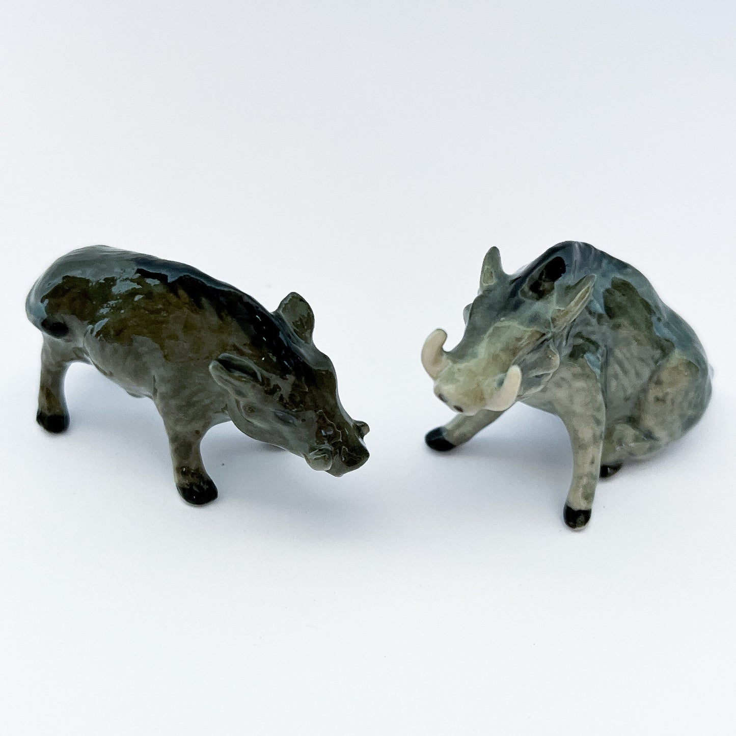 4 Wild Boars Family