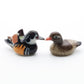 2 Tiny Mini Wood Duck (Carolina Duck)