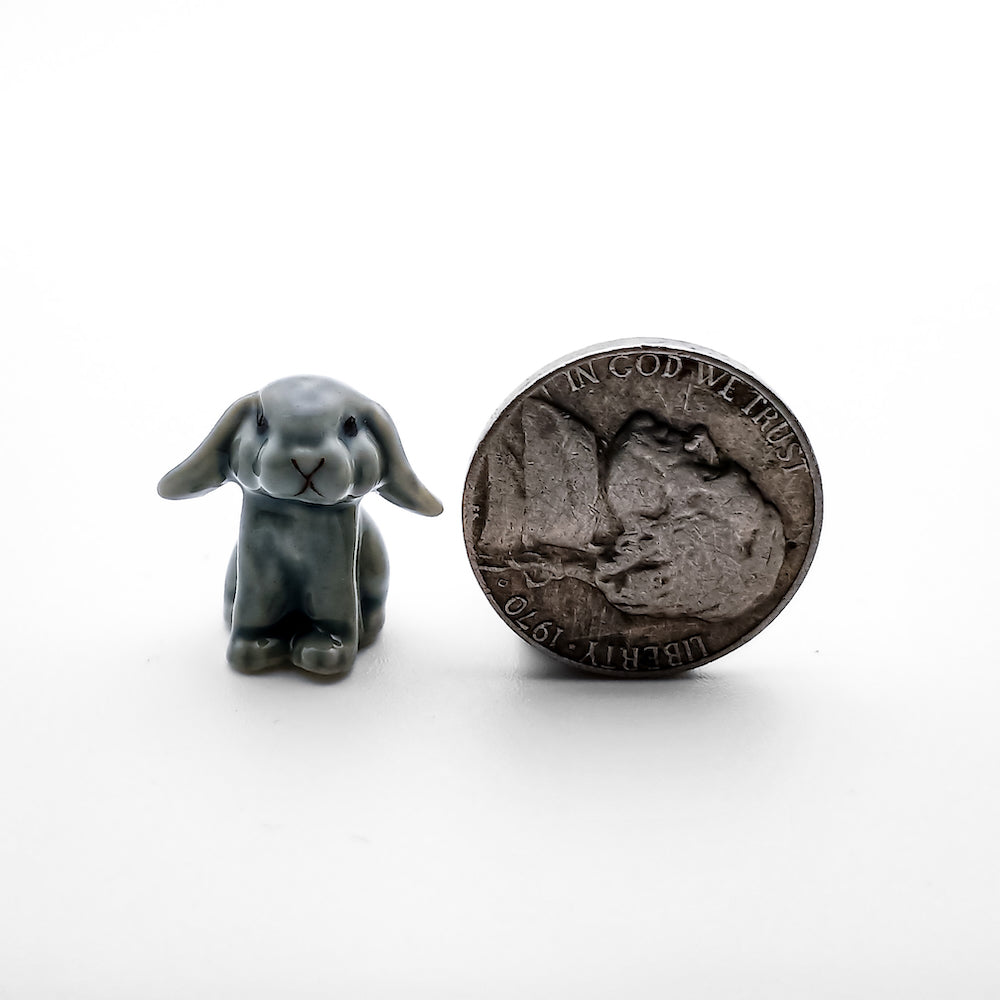Tiny Mini Rabbit