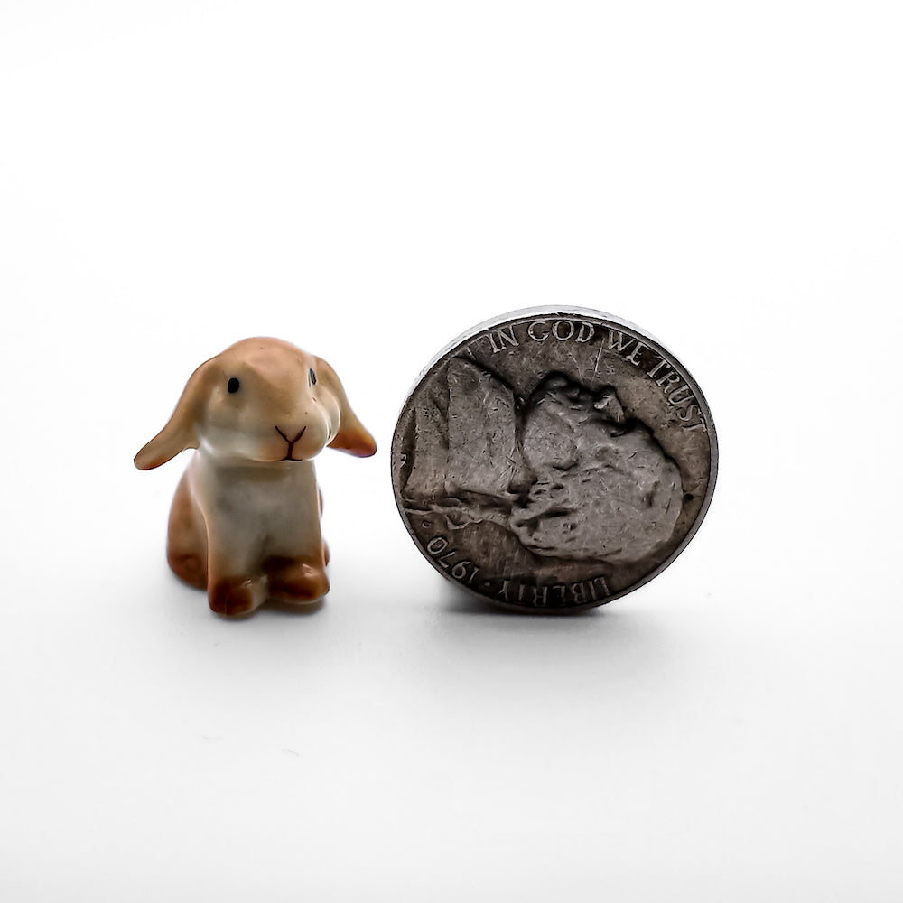 Tiny Mini Rabbit