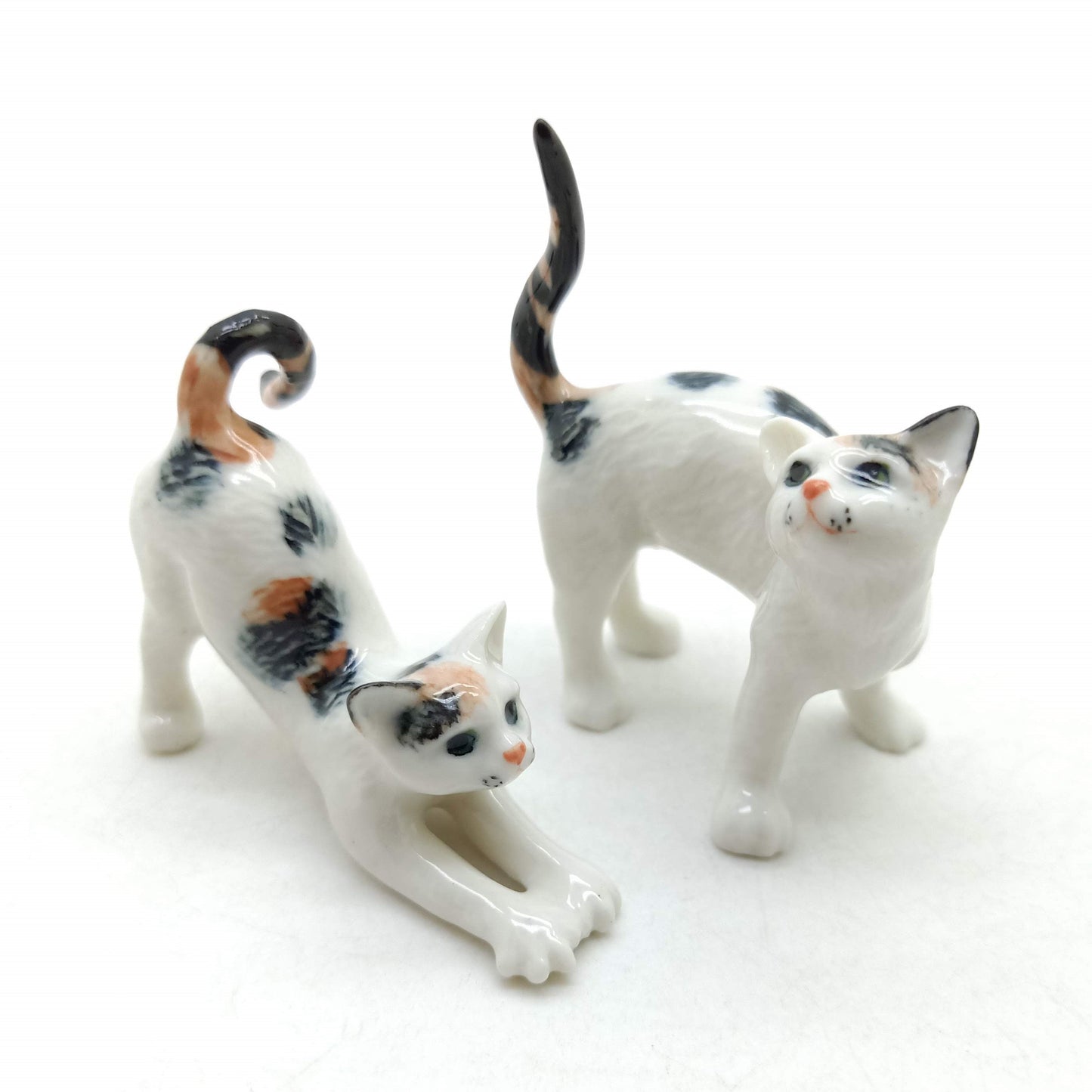 2 Stretching Cajoling Cats