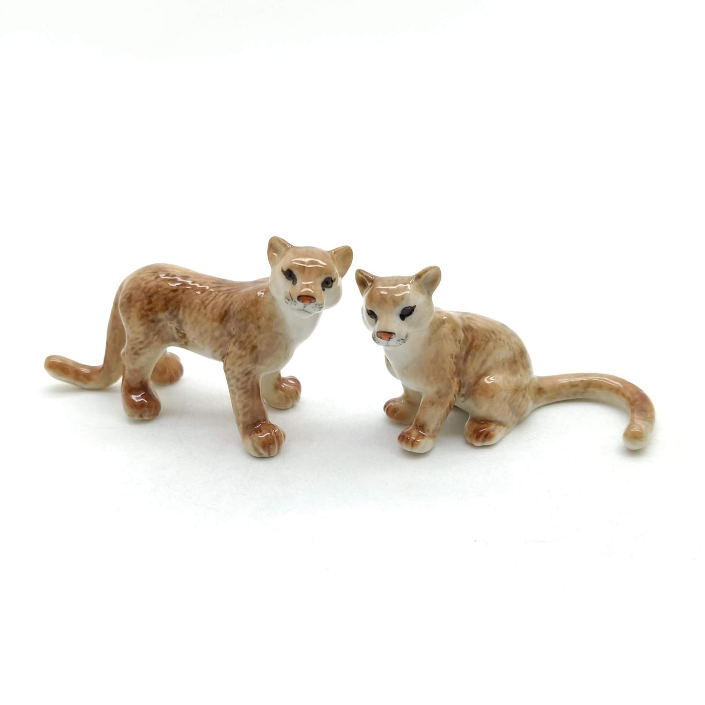 Puma Pair