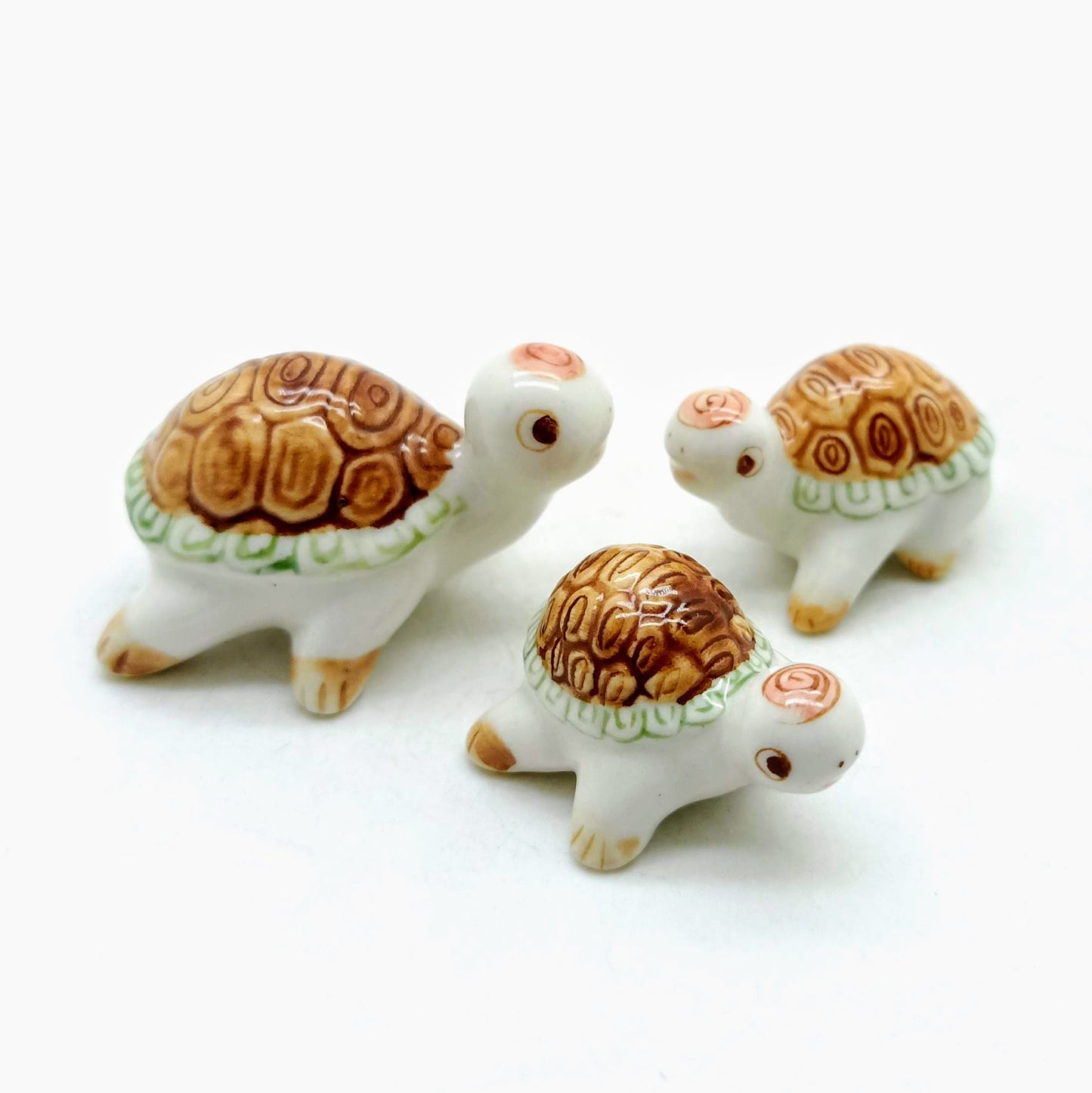 3 White Turtles Family