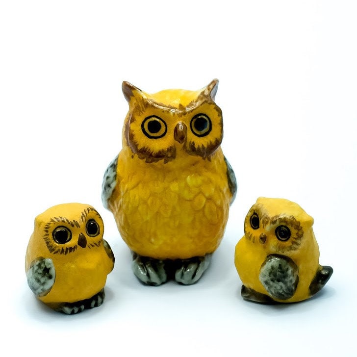 Owl Family