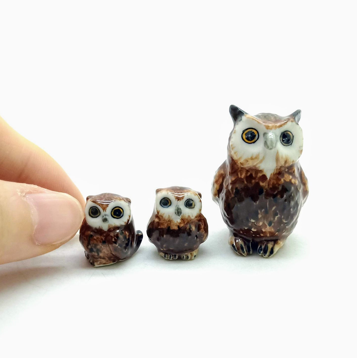 Owl Family