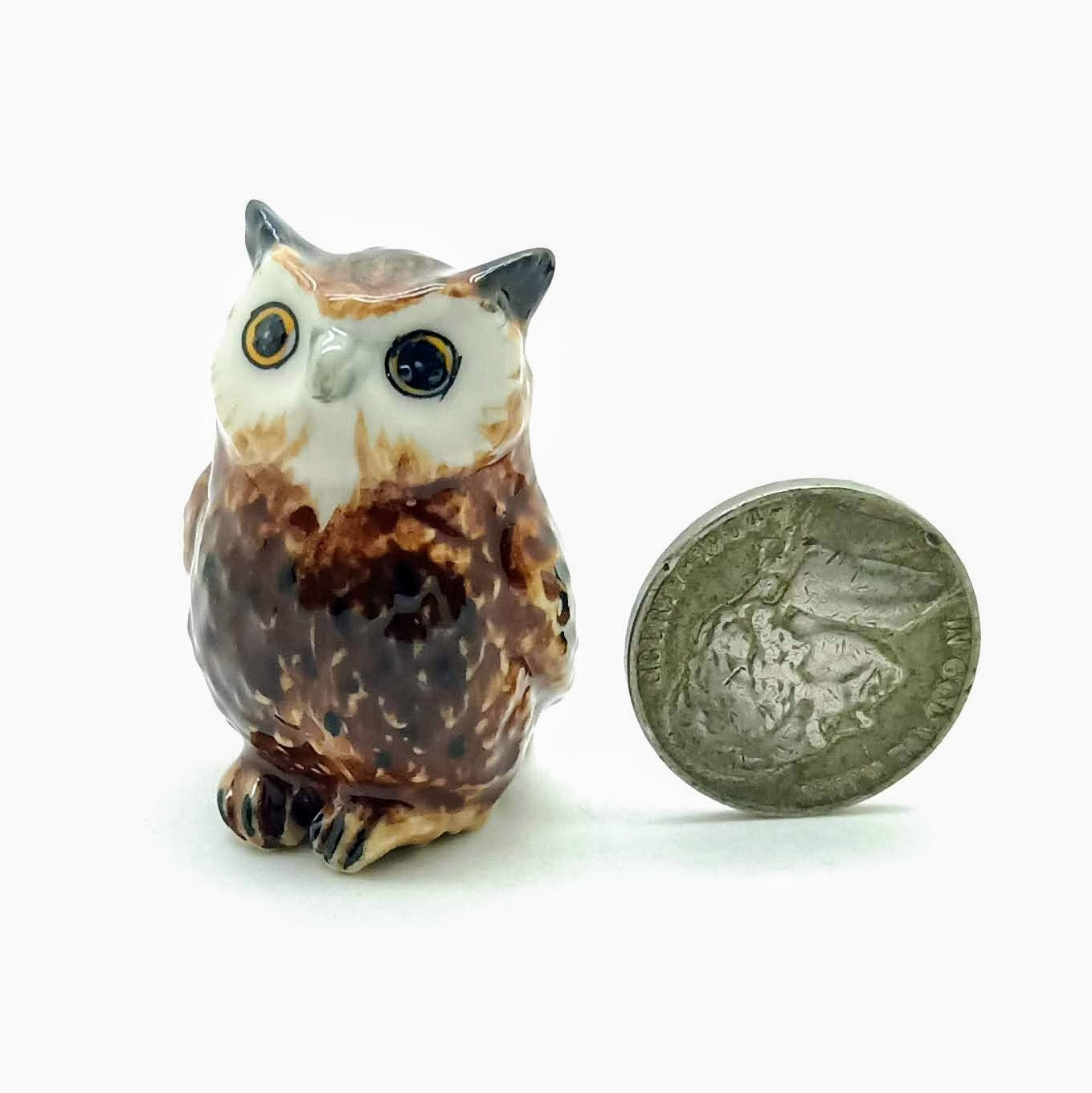 Owl Family