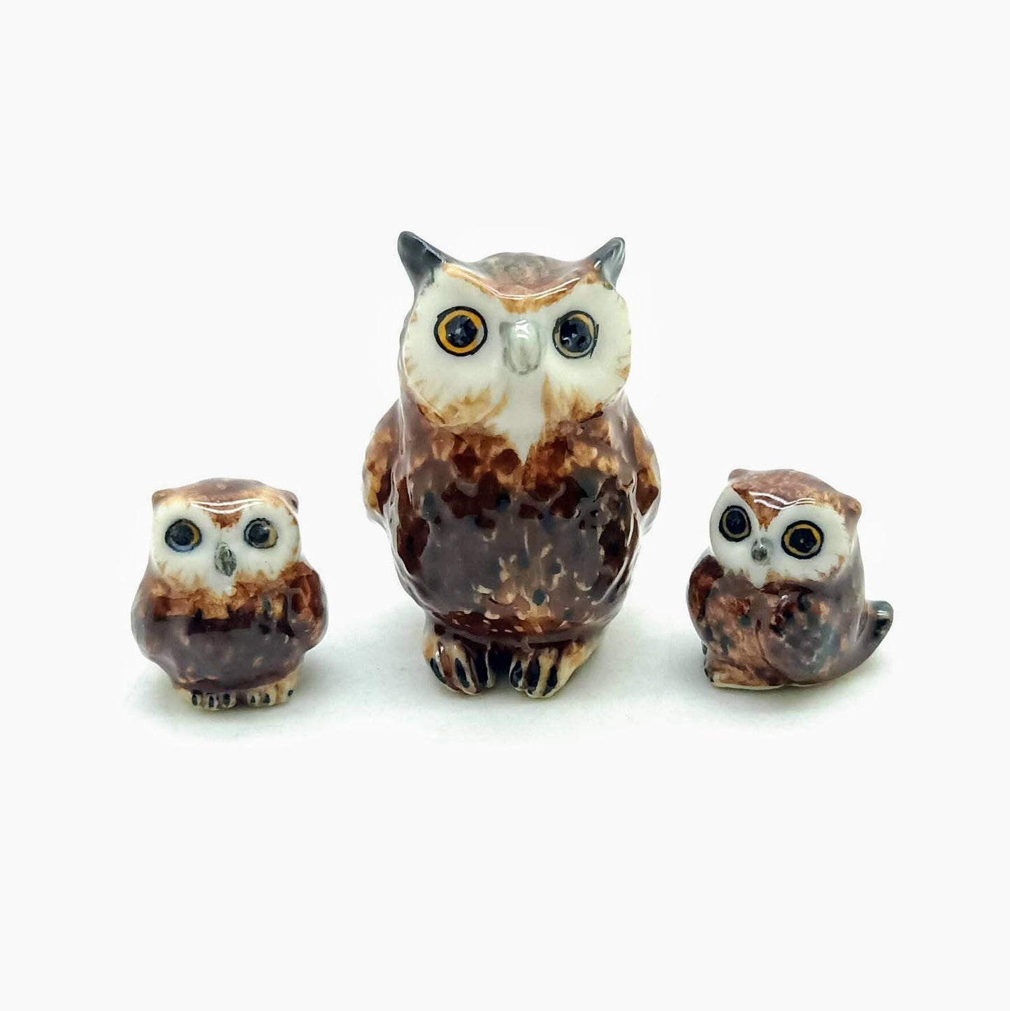 Owl Family