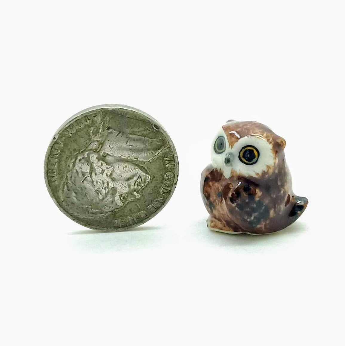 Owl Family