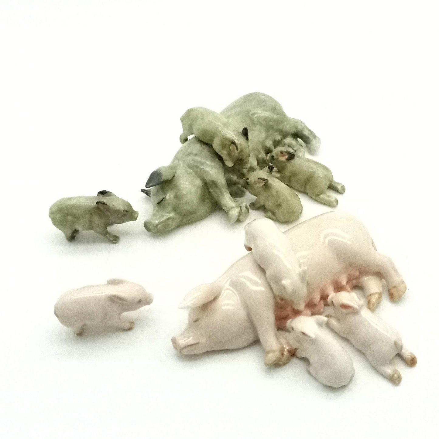4 little piglets suckling on their mom’s milk