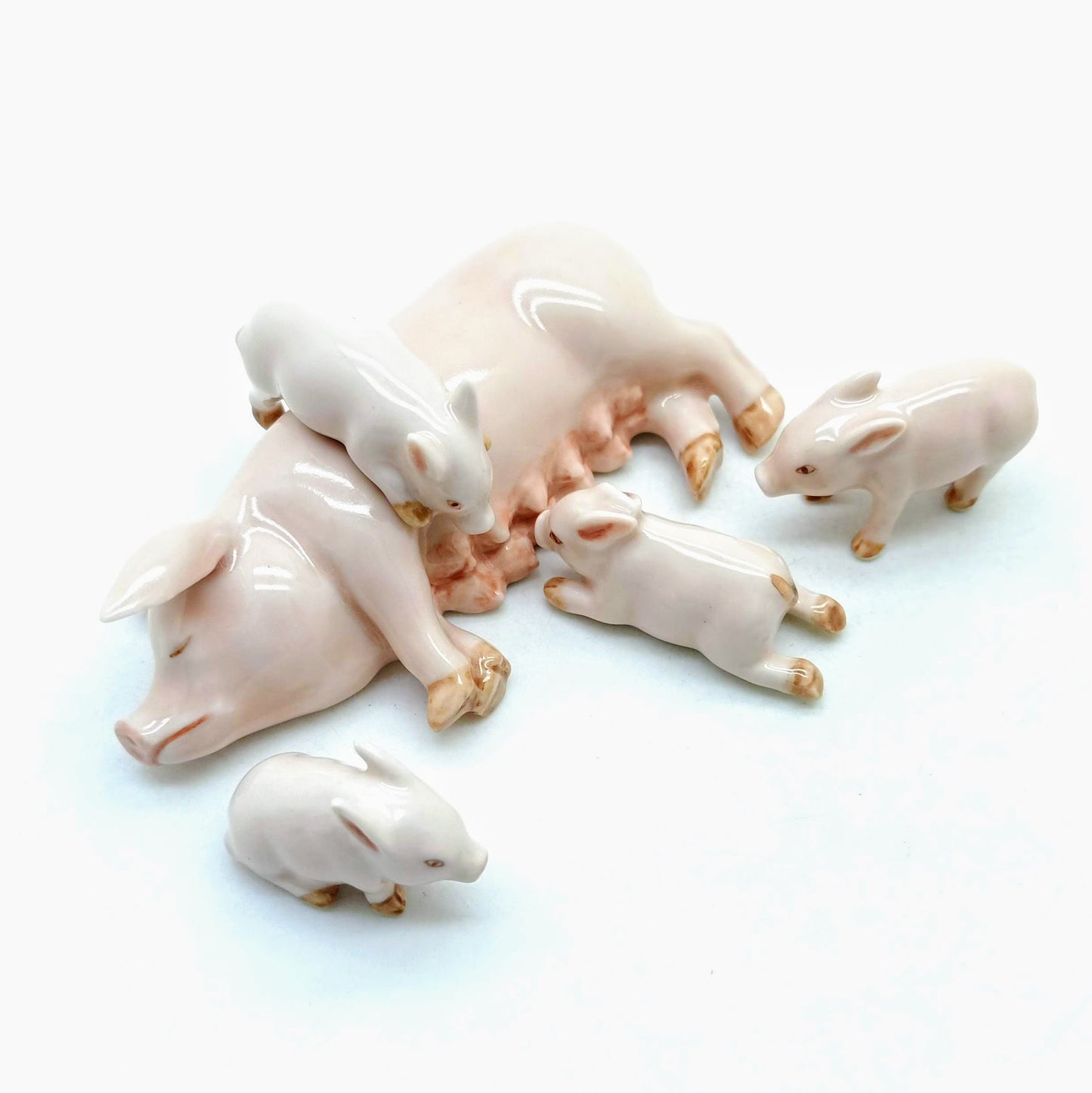 4 little piglets suckling on their mom’s milk