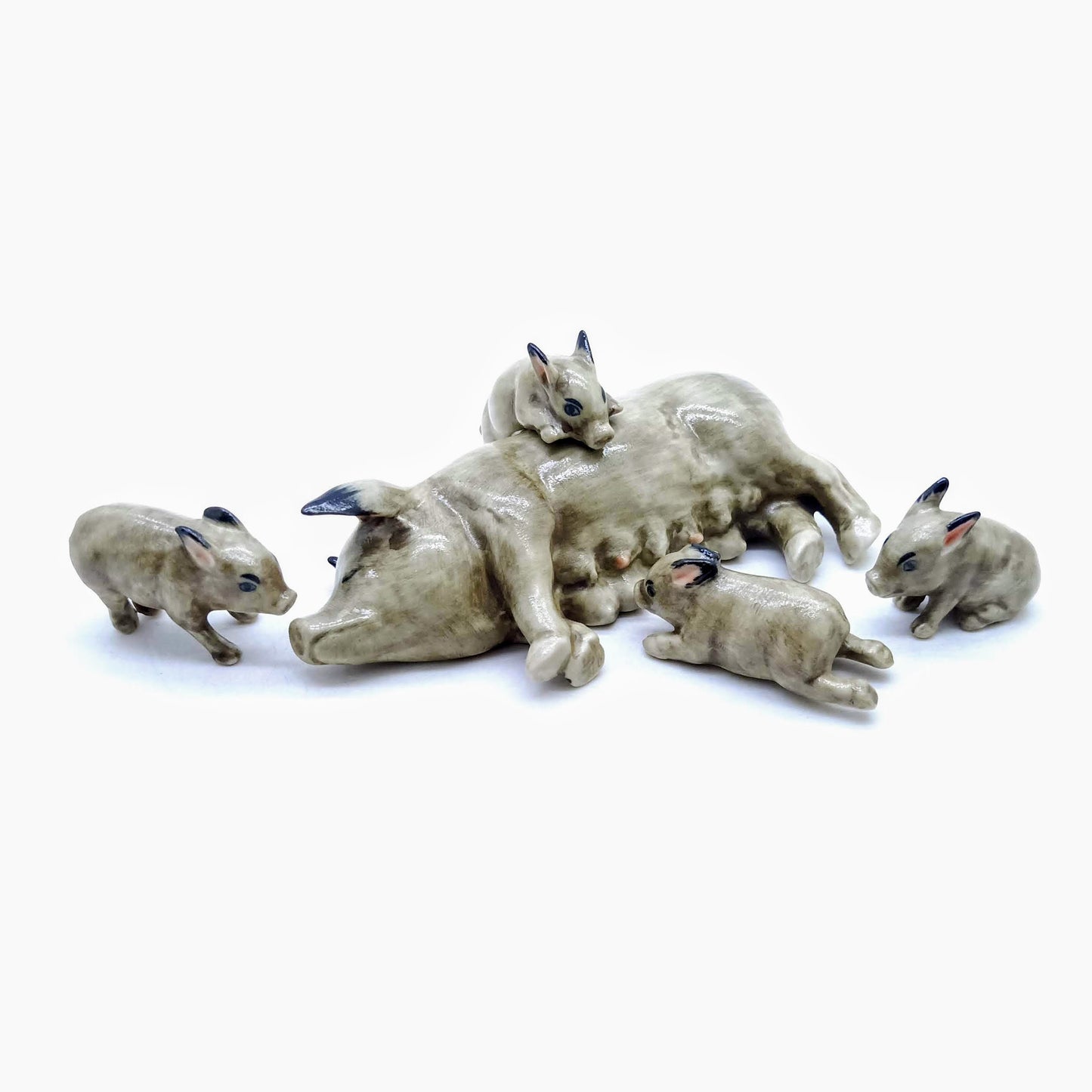 4 little piglets suckling on their mom’s milk