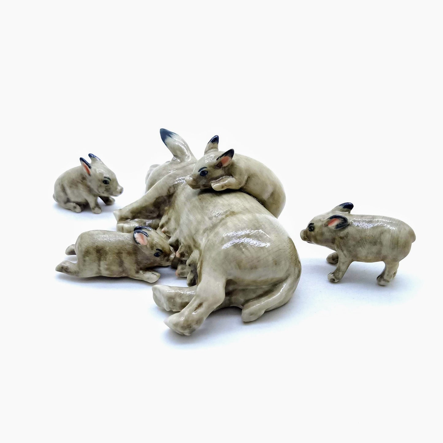 4 little piglets suckling on their mom’s milk