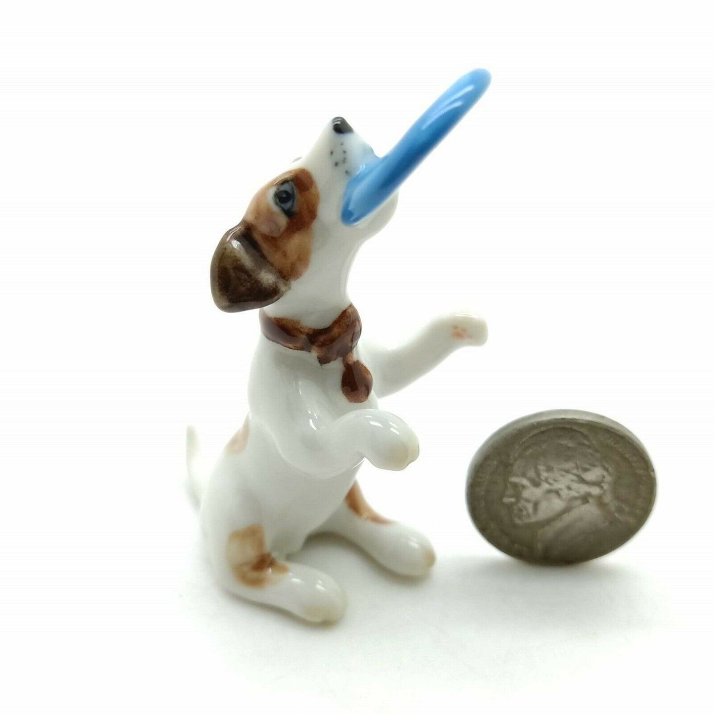 2 Jack Russell Terrier Dogs