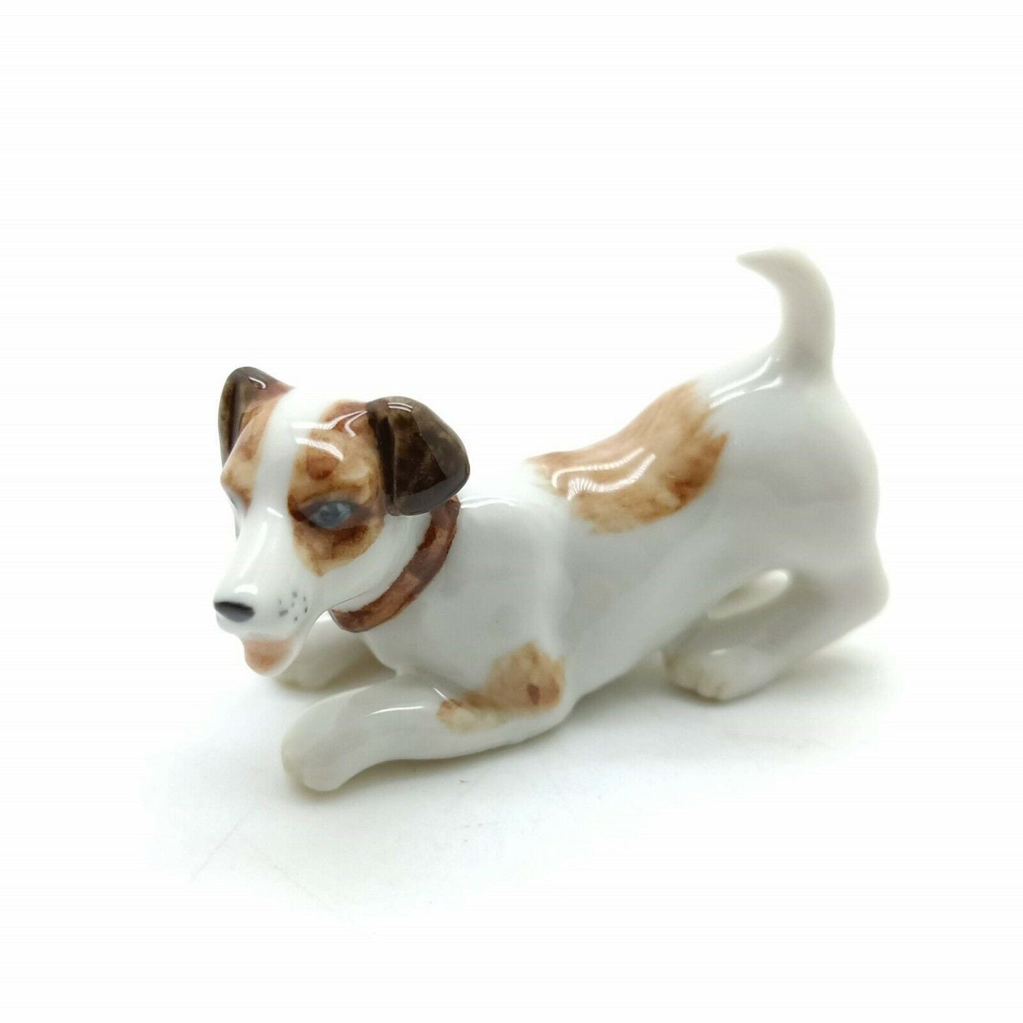2 Jack Russell Terrier Dogs