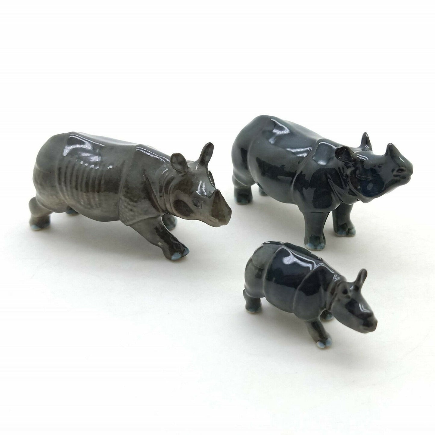 Rhino Family