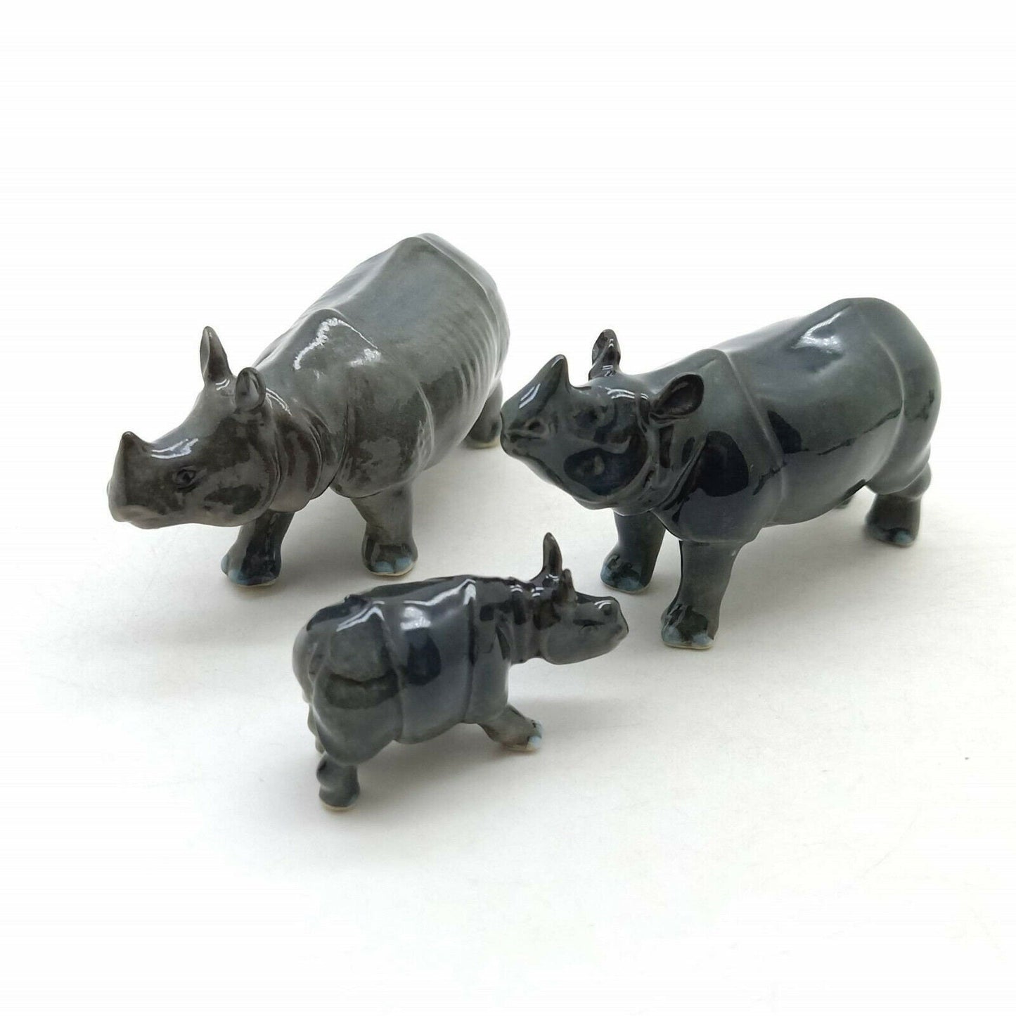 Rhino Family