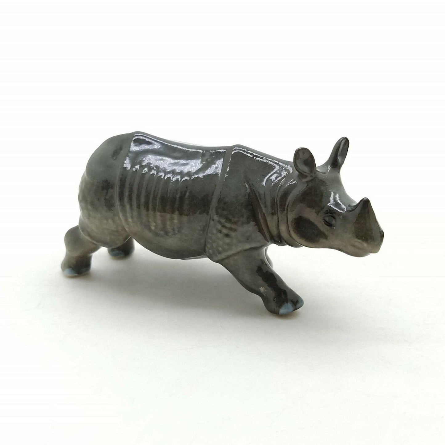 Rhino Family