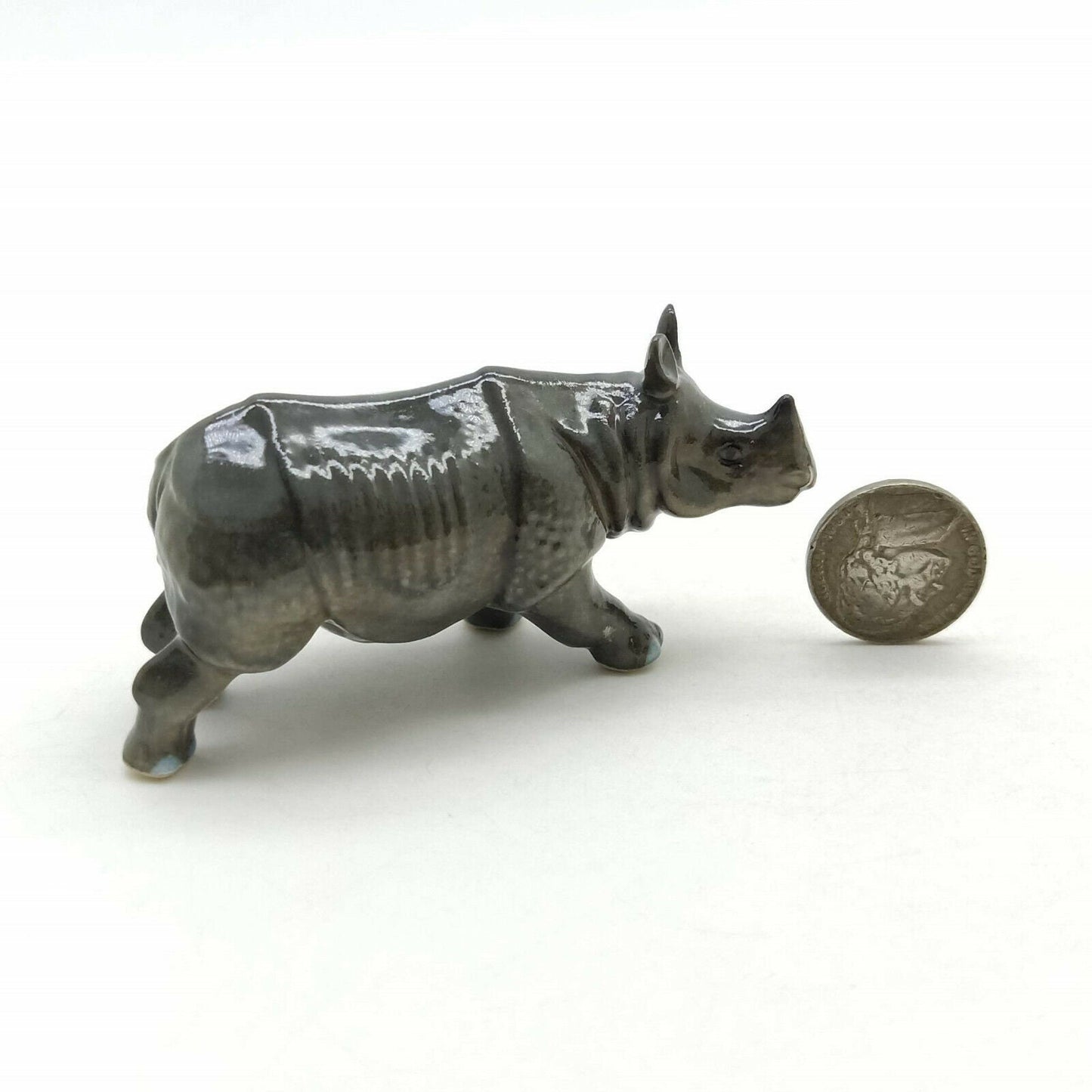 Rhino Family