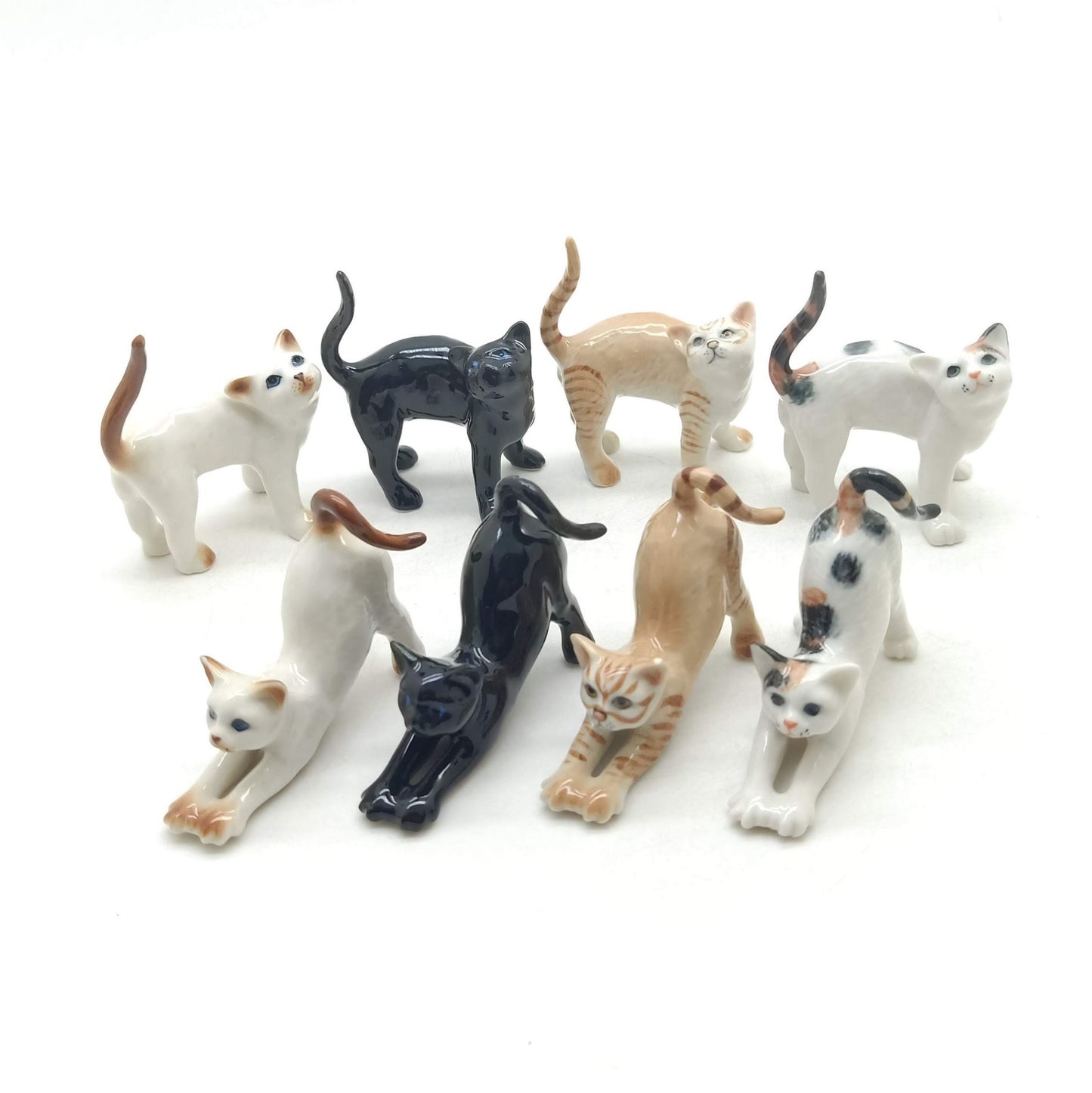 2 Stretching Cajoling Cats