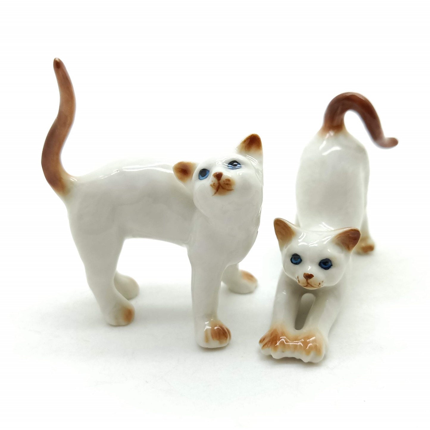2 Stretching Cajoling Cats