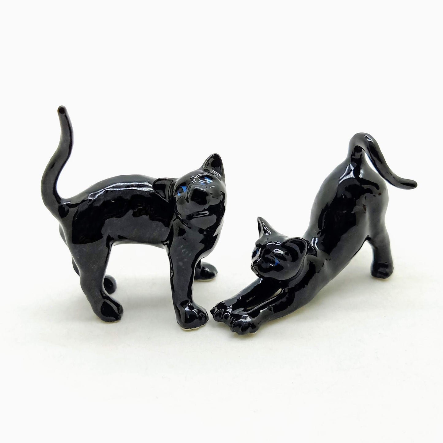 2 Stretching Cajoling Cats