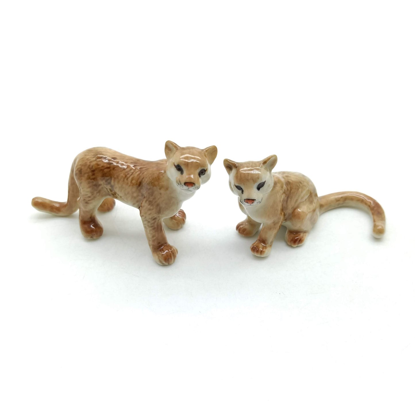 Puma Pair